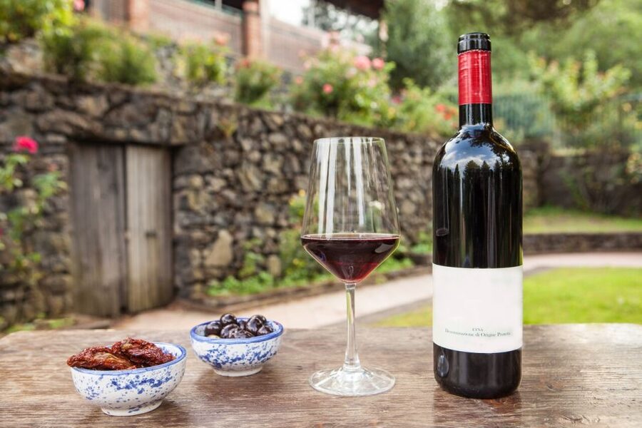 Mount Etna: Winery Tour and Tasting - Key points to know before booking