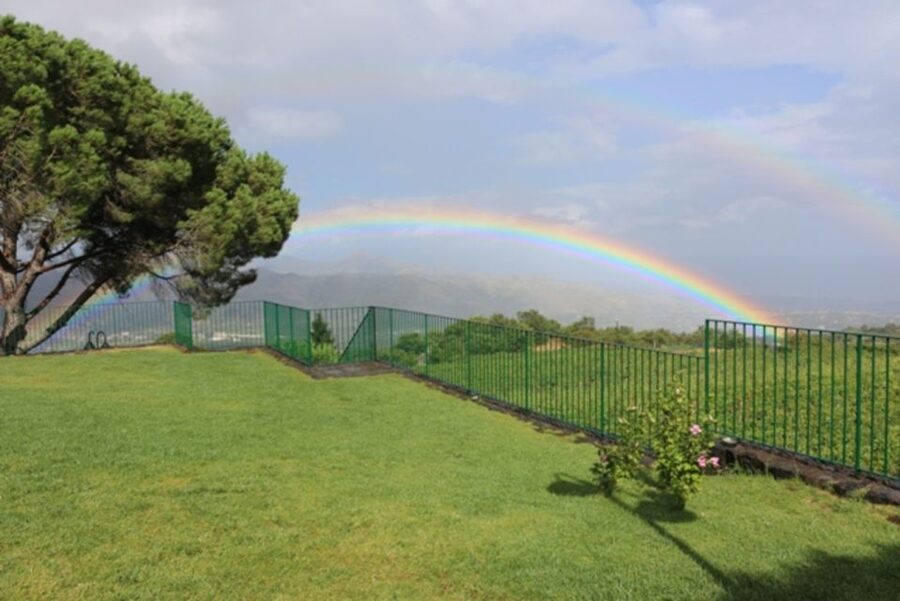 Mount Etna: Winery Tour and Tasting - Views, barrels, and time at the table