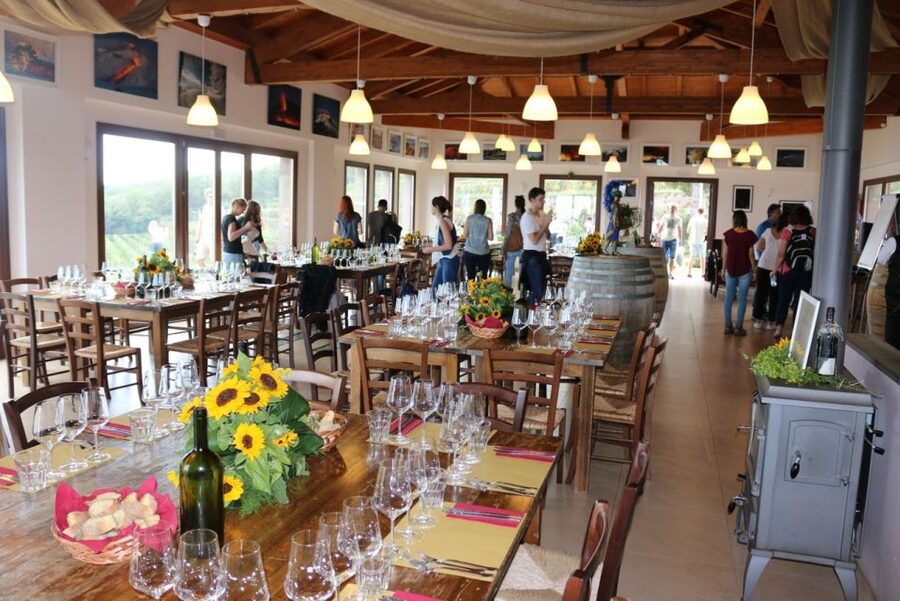 Mount Etna: Winery Tour and Tasting - The white-wine welcome and the winery story