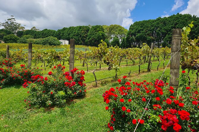 Mount Tamborine Wine Tasting Tour from Brisbane or the Gold Coast - Tamborine Mountain Distillery and the sweeter side