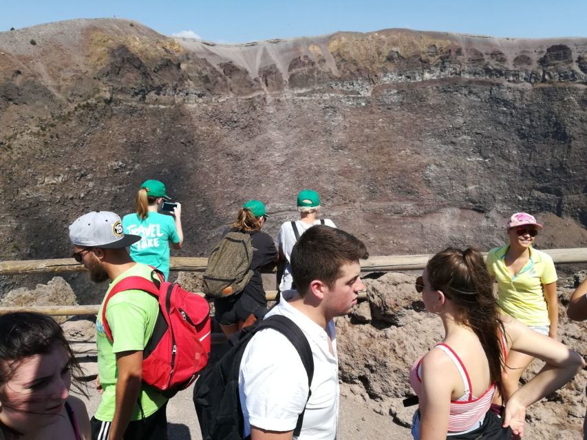 Mount Vesuvius 4-Hour Volcano Tour with Wine Tasting - Who will enjoy this Vesuvius tour most