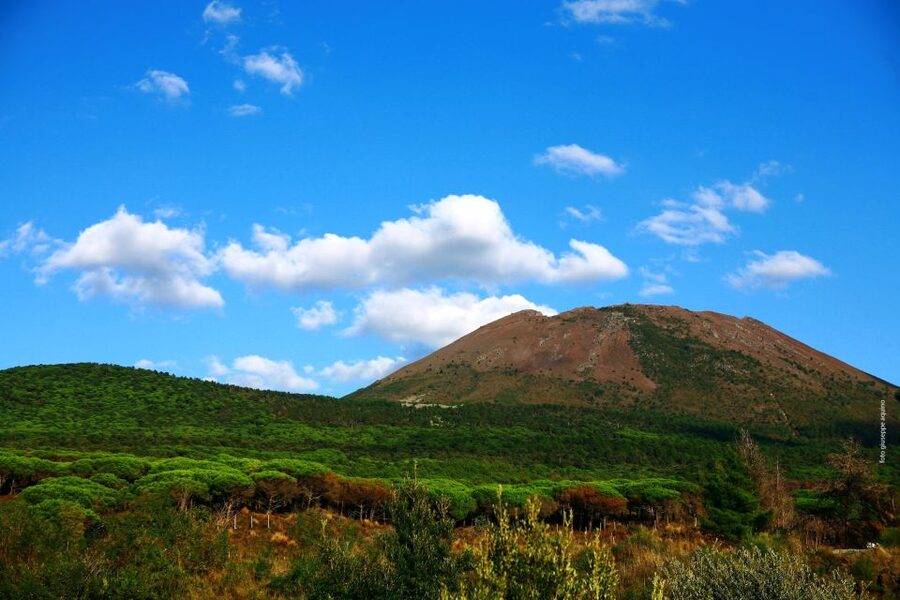 Mount Vesuvius 4-Hour Volcano Tour with Wine Tasting - Should you book it?