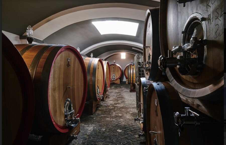 Mount Vesuvius: Vineyard Tour with Wine Tasting and Lunch - What lunch includes and why it matters