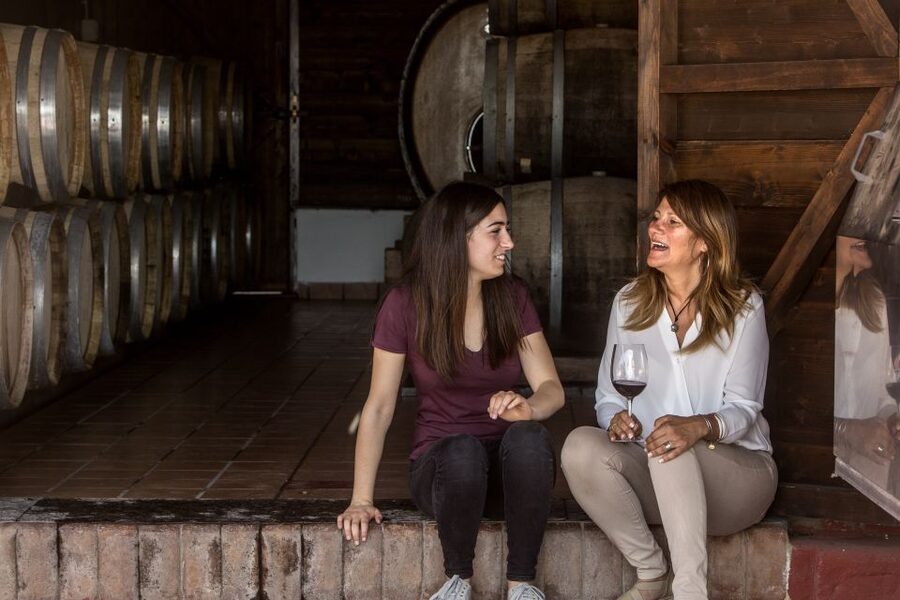Mount Vesuvius: Vineyard Tour with Wine Tasting and Lunch - Is $65 a good price?