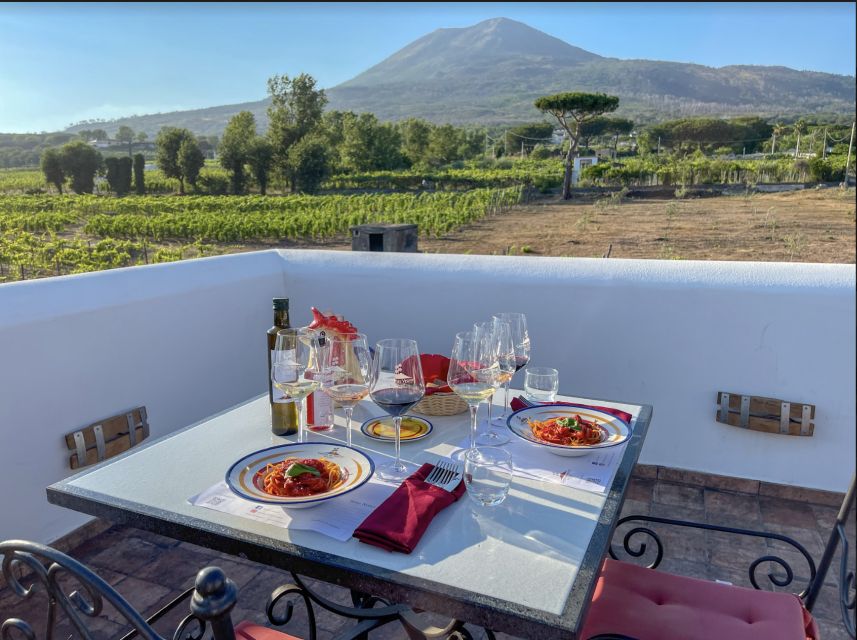 Mount Vesuvius: Vineyard Tour with Wine Tasting and Lunch - Who will enjoy this experience most
