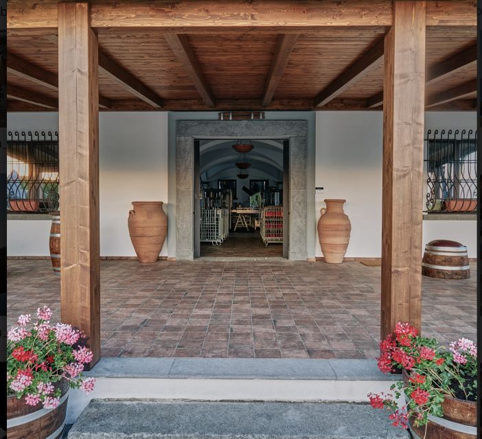 Mount Vesuvius: Vineyard Tour with Wine Tasting and Lunch - Booking details worth keeping in mind