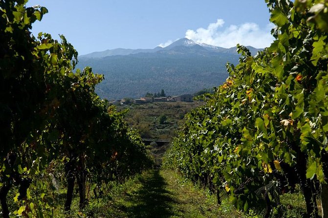 Mt Etna and Wine tasting tour from Catania - Entering Grotta dei Tre Livelli