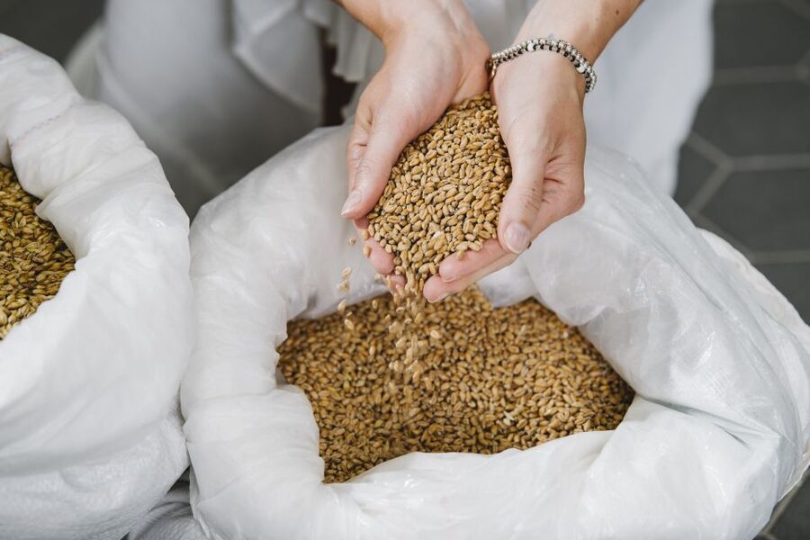Munich: Hands-On Brewery Tour & Tasting of 4 Organic Beers - Inside Haderner Bräu München