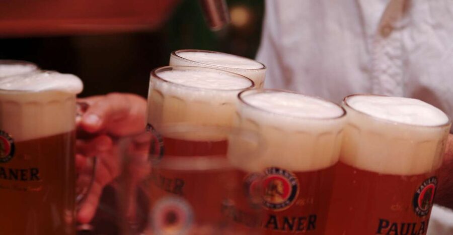 Munich's Beer Halls and Breweries: 3-Hour Guided Tour - From Marienplatz into Munich’s beer culture