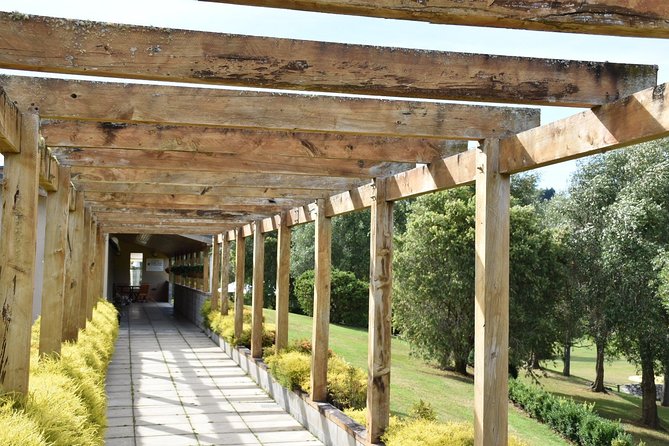 Muriwai Scenic Wine Tour from Auckland - Westbrook Winery in the Waimauku Valley