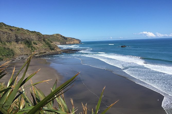 Muriwai Scenic Wine Tour from Auckland - Soljans Estate and the family wine story