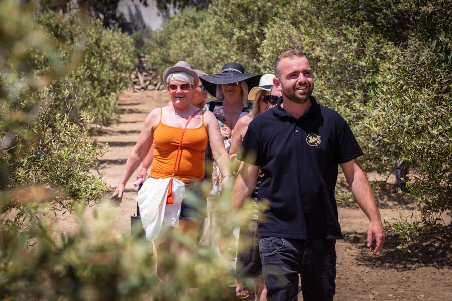 Mykonos: Winery Vineyard Experience with Food & Wine Tasting - How to plan the visit