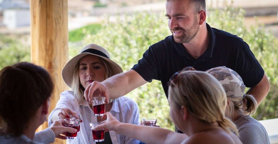 Mykonos: Winery Vineyard Experience with Food & Wine Tasting - From grape to bottle, with old family methods