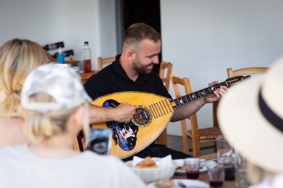 Mykonos: Winery Vineyard Experience with Food & Wine Tasting - Traditional music turns tasting into a cultural visit