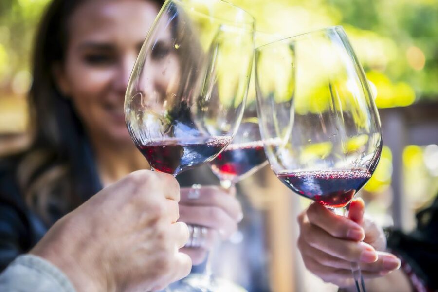 Napa Valley: Guided Wine Tour with Picnic Lunch - A seven-hour route through Napa Valley