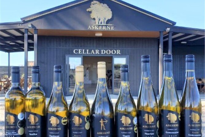 Napier: Afternoon Wine Tasting + visit Silky Oaks Chocolates - Pask Winery and the changing schedule