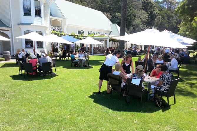 Napier: Afternoon Wine Tasting + visit Silky Oaks Chocolates - Mission Estate, the historic first stop