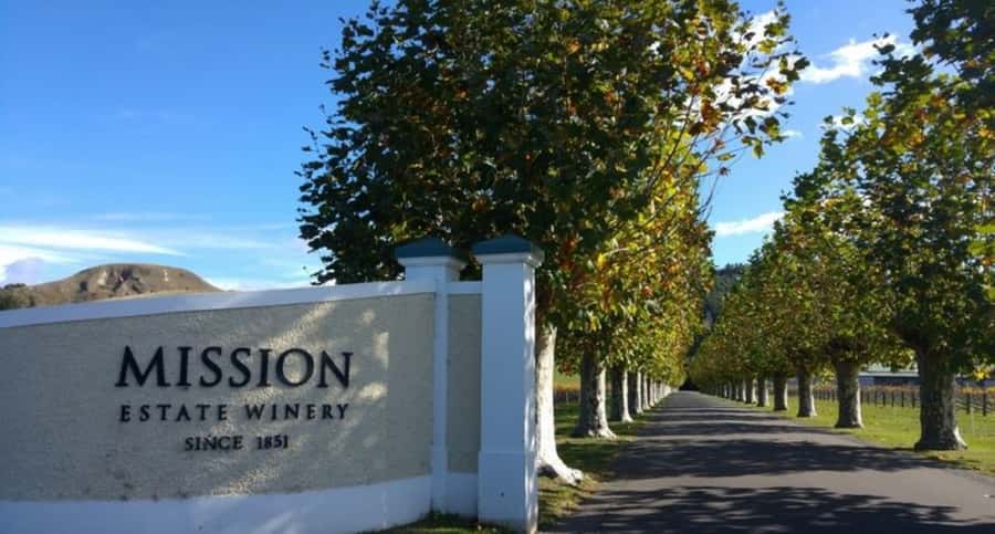 Napier: Afternoon Winery Tour Tasting at 3 Great Wineries - Key points to know before booking