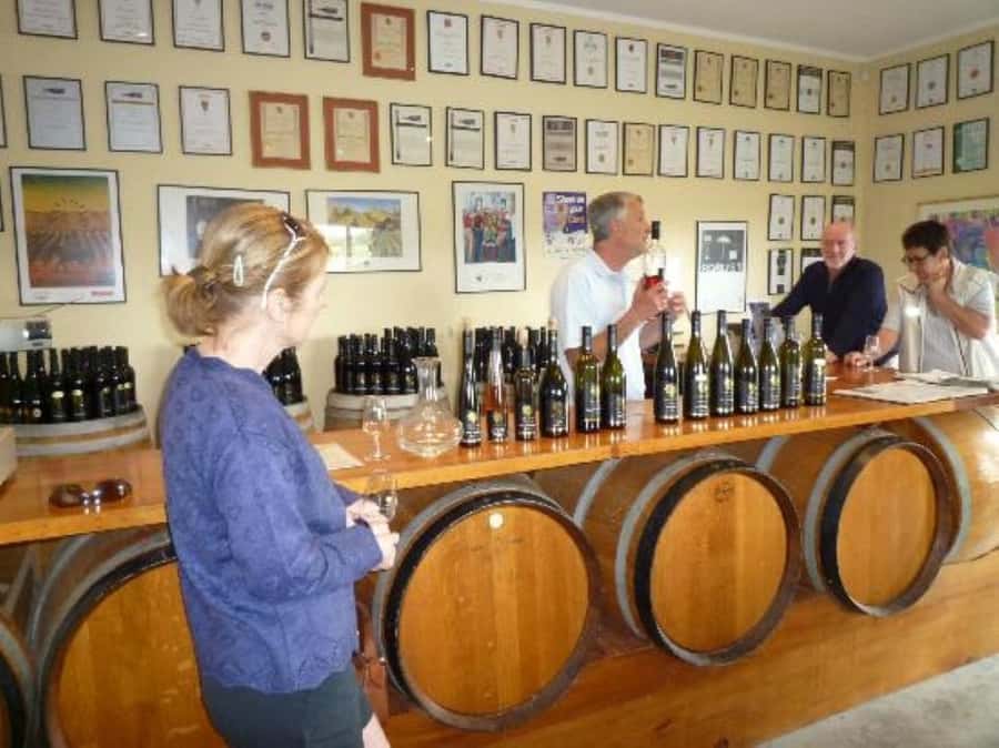 Napier: Afternoon Winery Tour Tasting at 3 Great Wineries - Should you book the $112 afternoon?