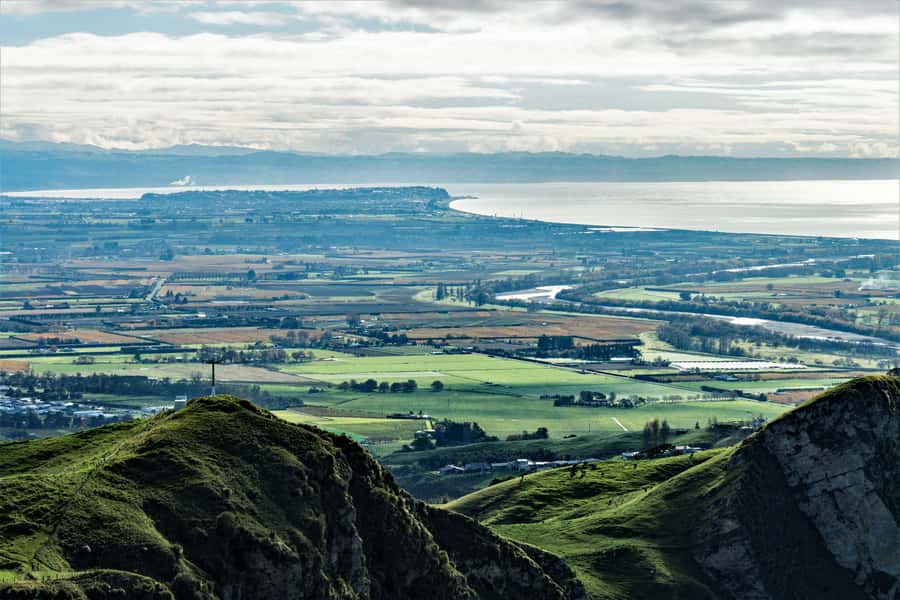 Napier: Art-Deco + Te Mata Peak+ Garden Walk + Wine Tasting - Who should book this excursion?