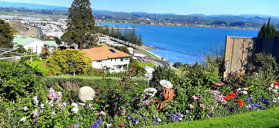 Napier: Art-Deco + Te Mata Peak+ Garden Walk + Wine Tasting - Why the small-group format matters in Napier