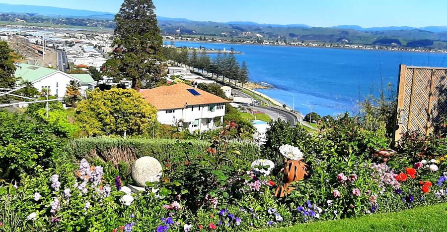 Napier: Art-Deco + Te Mata Peak+ Garden Walk + Wine Tasting - A private garden adds a local touch
