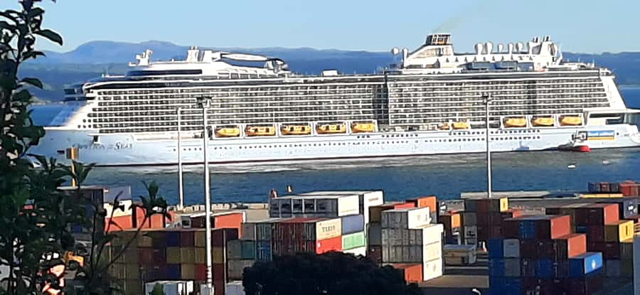 Napier: Art-Deco + Te Mata Peak+ Garden Walk + Wine Tasting - What the transport is like