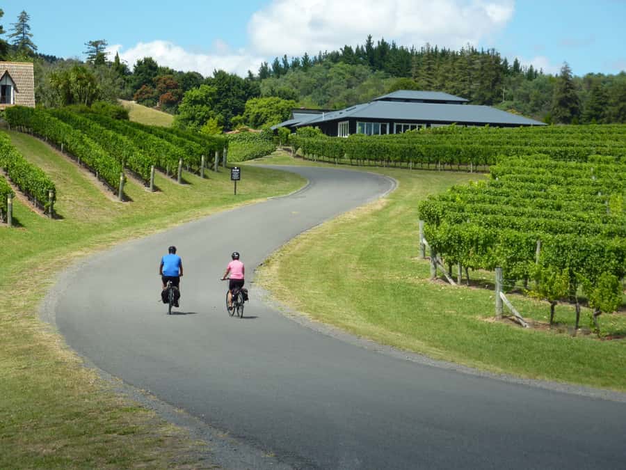 Napier: Cape Coast Winery Tour on E-Bikes - Key points to know before you book
