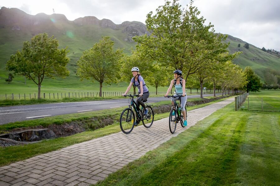 Napier: Cape Coast Winery Tour on E-Bikes - Timing, bookings, and small practical details