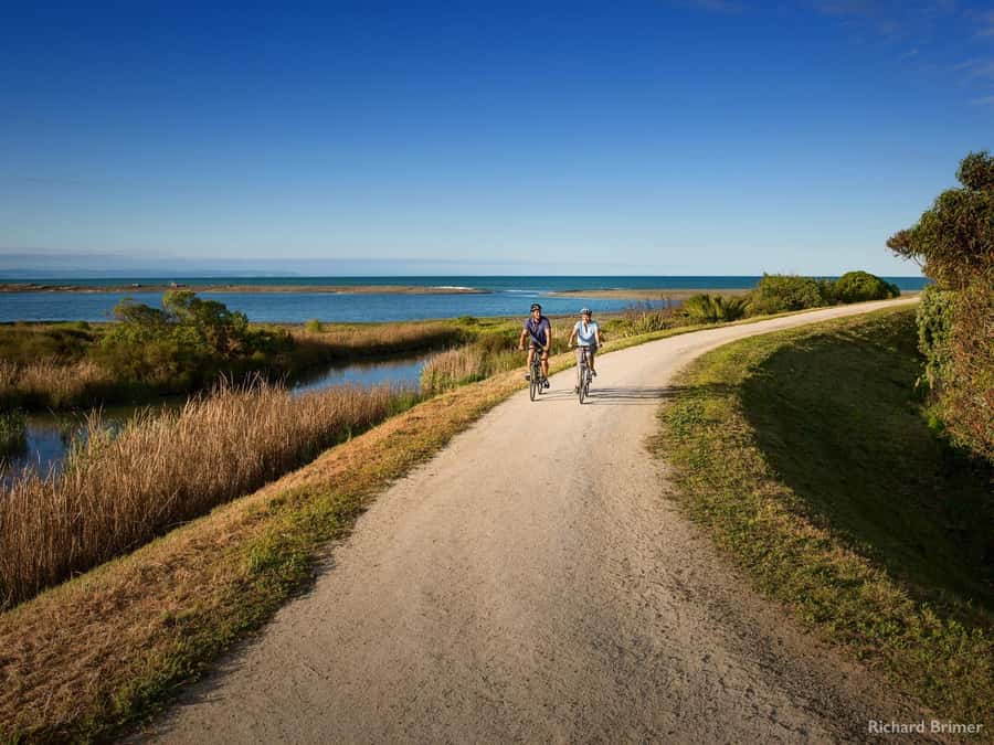 Napier: Cape Coast Winery Tour on E-Bikes - From Napier to Cape Kidnappers