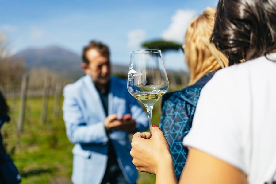 Naples: Pompeii and Mt. Vesuvius with Lunch and Wine Tasting - Why this Naples day trip works
