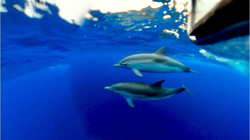 Naxos: Taormina Boat Tour with Snorkeling and Prosecco - Sunset and Mount Etna views