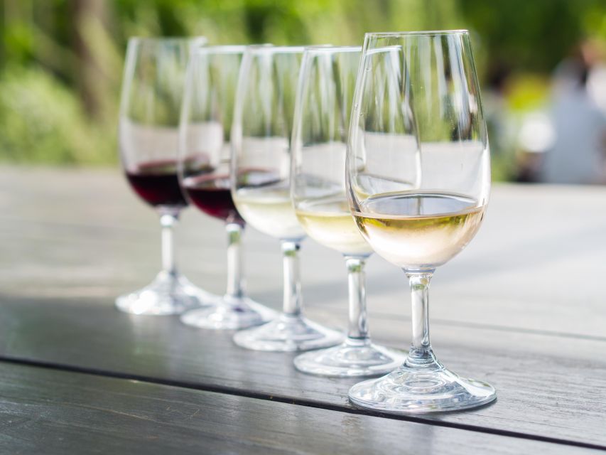 Naxos: Wine and Mythology Sunset Tour - Who will enjoy this Naxos tour most?