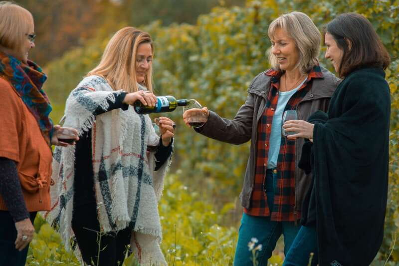 Niagara, Canada: Half-Day Winery Tour with Tastings - The route along the Niagara Parkway