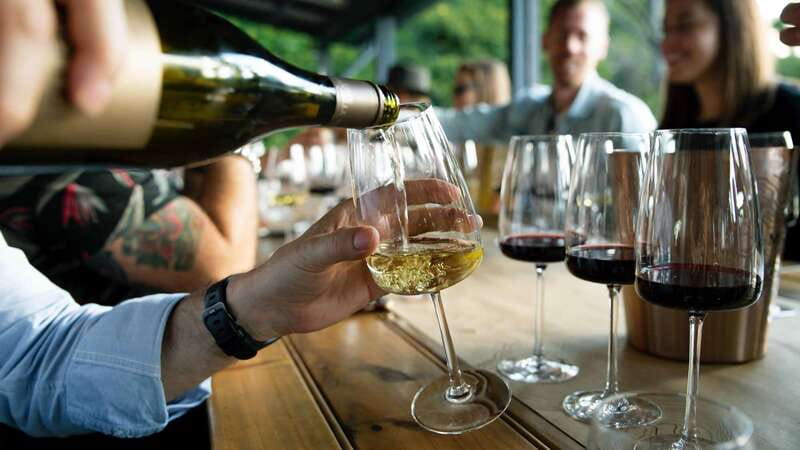 Niagara Falls: Winter Niagara Wine Tour with Transportation - Reif Estate, barrel-room tastings, and vineyard views