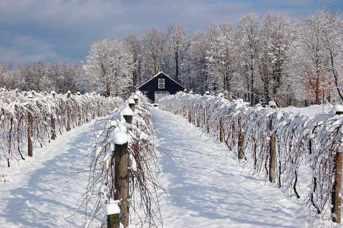 Niagara Wine Tour and Tastings with Transportation - Lunch at the Farmhouse Cafe is casual and unhurried