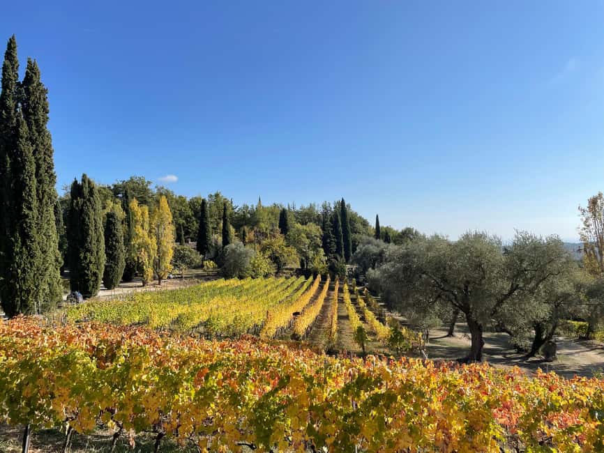 Nice: Full-Day Côtes de Provence Wine Tour - The first winery sets the tone