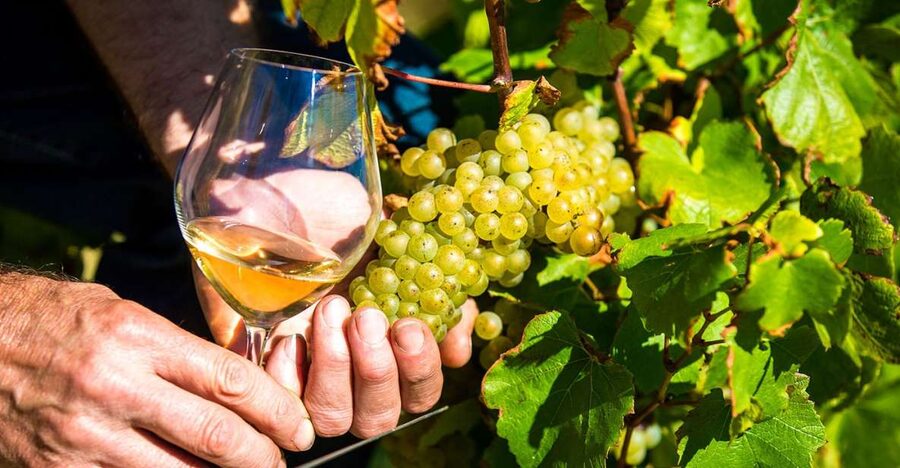 Nice: Provence Village Tour with Wine and Produce Tasting - Biot glass connects craft with place