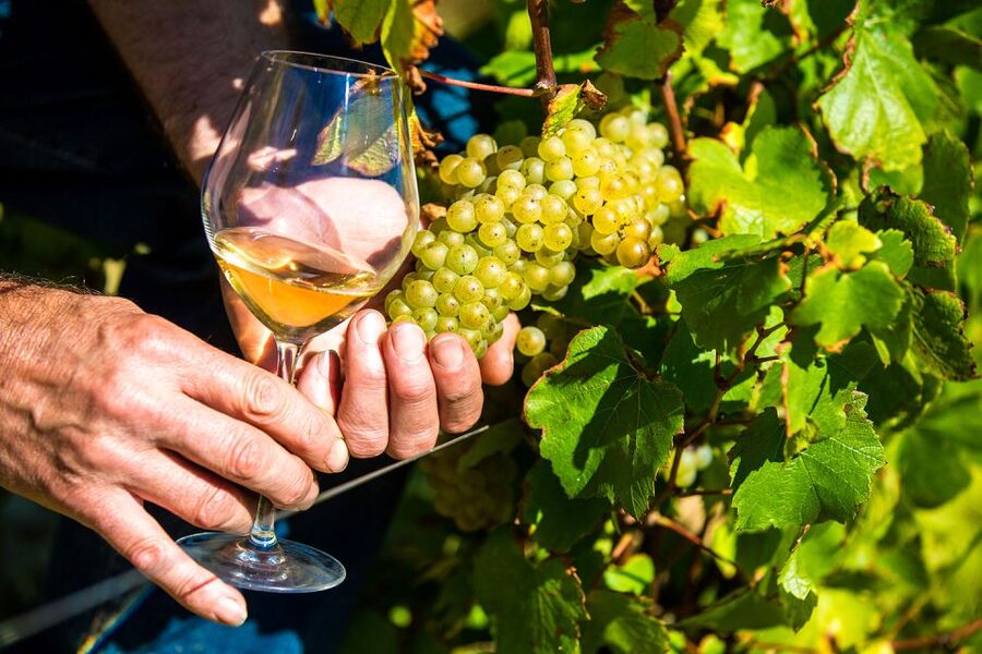 Nice: Provence Village Tour with Wine and Produce Tasting - Gourdon delivers the big view