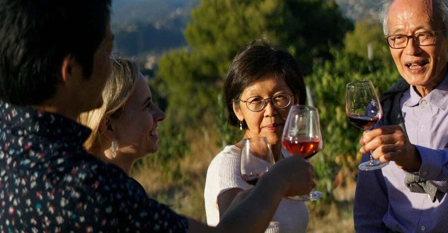 Nice: Vineyard Tour with Wine Tasting - At a glance