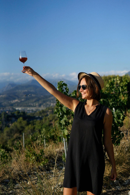 Nice: Vineyard Tour with Wine Tasting - Is $38 a fair price?