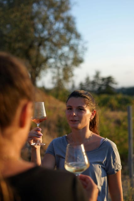 Nice: Vineyard Tour with Wine Tasting - Who will enjoy this visit most?