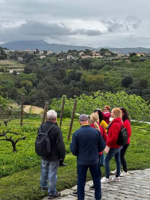 Nice : Wine Tasting at a Historic Château in a Land Rover ! - The shop and factory-price purchases