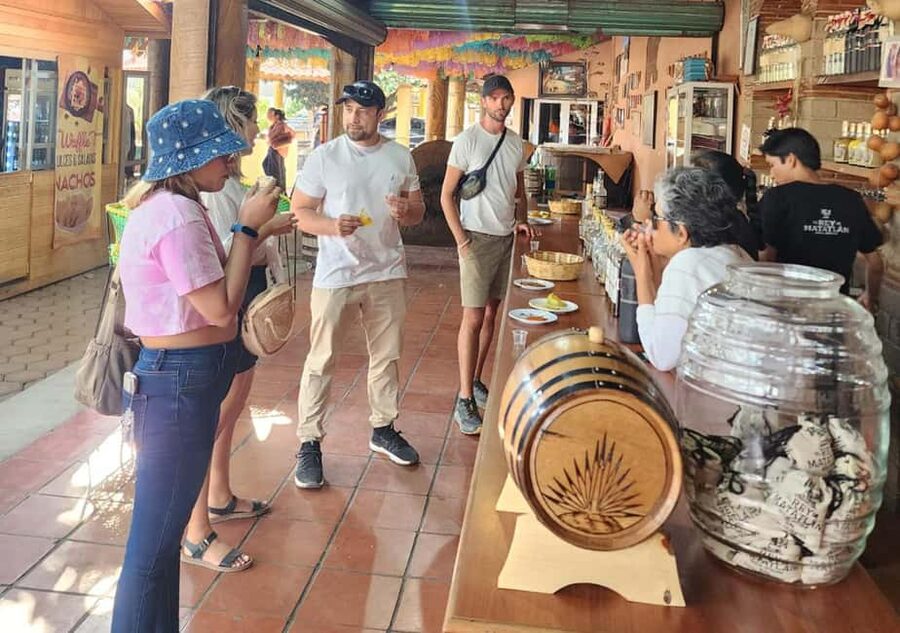 Oaxaca: Tule, Mitla & Hierve el Agua, & Mezcal Tour - Why this Oaxaca day trip works