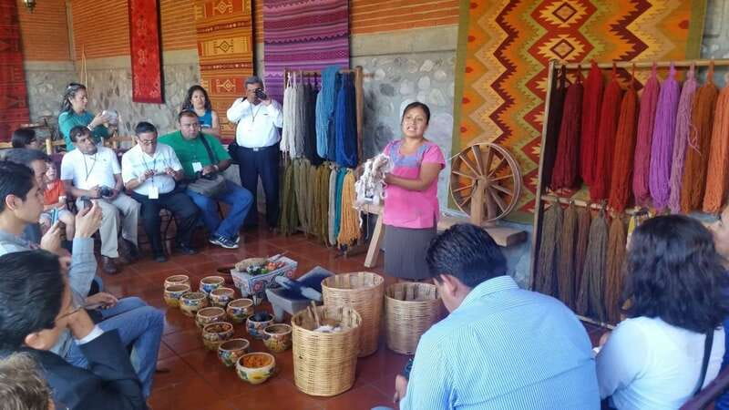 Oaxaca: Tule, Mitla & Hierve el Agua, & Mezcal Tour - The Tule Tree: a quick but memorable first stop