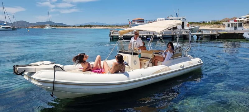 Olbia: Dolphin Watching & Swim with prosecco aperitif - Leaving Olbia from MOYS marina
