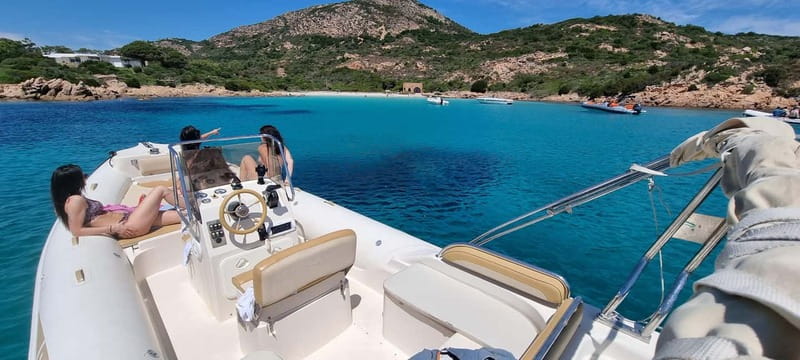 Olbia: Dolphin Watching & Swim with prosecco aperitif - Swimming and snorkeling in clear Sardinian water