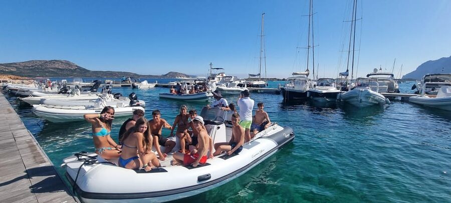 Olbia: Dolphin Watching & Swim with prosecco aperitif - How the $71 price compares