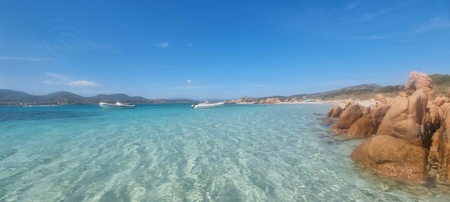 Olbia: Dolphin Watching & Swim with prosecco aperitif - The experience in one practical timeline
