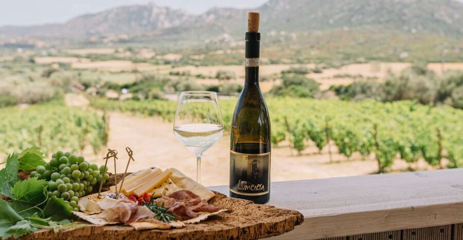 Olbia: Gallura Winery Guided Tour with Tasting - Key points at a glance